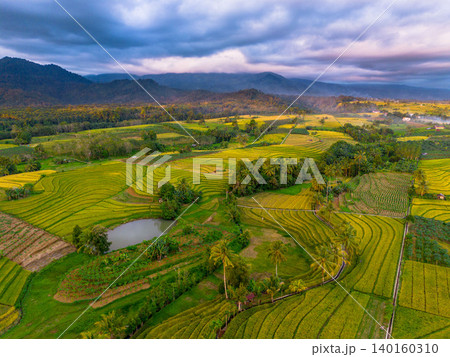 Beautiful morning view in Indonesia, panoramic landscape of rice fields with mountain ranges and clear sky Beautiful morning view in Indonesia, panoramic landscape of rice fields with mountain ranges and clear sky 140160310