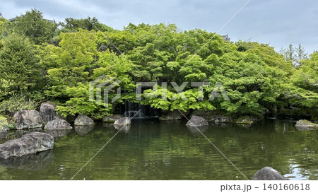 五月の新緑が力強い庭の風景 五月の新緑が力強い庭の風景 140160618