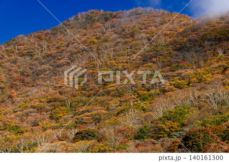 赤城山・覚満淵から見る紅葉の駒ヶ岳 赤城山・覚満淵から見る紅葉の駒ヶ岳 140161300