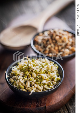 Fresh Sprouts in Bowls With Lentil and Mung Beans on Rustic Wooden Table, Healthy Vegan Food Fresh Sprouts in Bowls With Lentil and Mung Beans on Rustic Wooden Table, Healthy Vegan Food 140161380