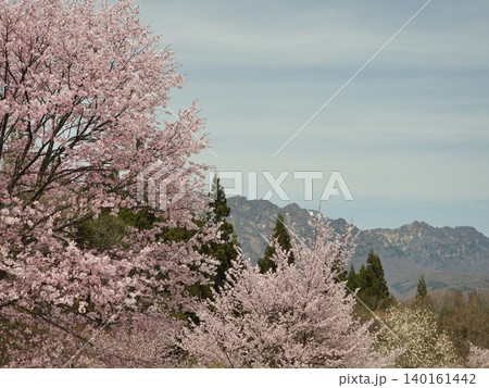 桜満開の鬼無里ランタンビレッジの春景色 140161442