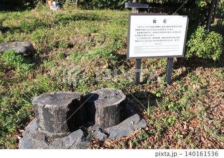 日比谷公園にある松石 140161536