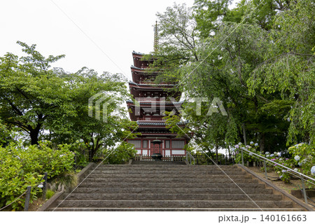梅雨の季節の本土寺 千葉県松戸市 梅雨の季節の本土寺 千葉県松戸市 140161663