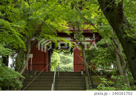 梅雨の季節の本土寺 千葉県松戸市 梅雨の季節の本土寺 千葉県松戸市 140161702