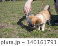 水を飲む犬・ペットウォーターボトル 140161791