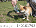 水を飲む犬・ペットウォーターボトル 140161792