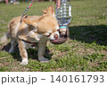 水を飲む犬・ペットウォーターボトル 140161793