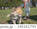 水を飲む犬・ペットウォーターボトル 140161795