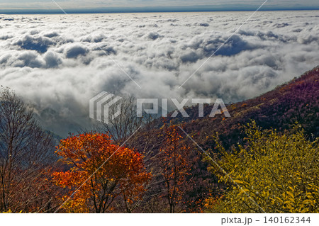紅葉の赤城山・黒檜山から見る雲海 紅葉の赤城山・黒檜山から見る雲海 140162344