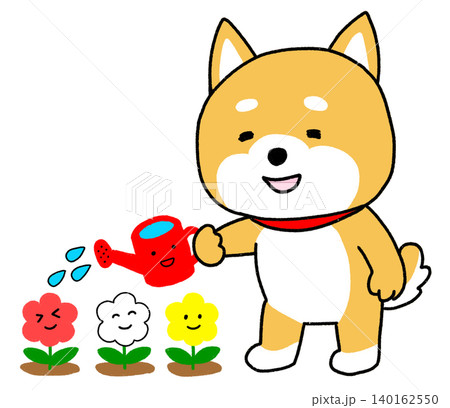 可愛らしい花にじょうろで水やりをするしばいぬ 140162550