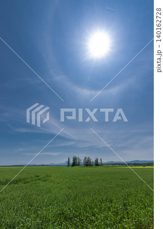 青空と太陽が輝く広大な緑の麦畑、遠くの山々を望む春の田園風景 青空と太陽が輝く広大な緑の麦畑、遠くの山々を望む春の田園風景 140162728