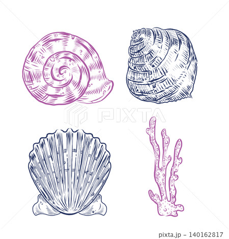 A collection of hand-drawn marine-themed vector illustrations featuring various shells and corals. Scallops, nautiluses, and corals are all hand-drawn in ink. Illustrations for design, creative use. A collection of hand-drawn marine-themed vector illustrations featuring various shells and corals. Scallops, nautiluses, and corals are all hand-drawn in ink. Illustrations for design, creative use. 140162817