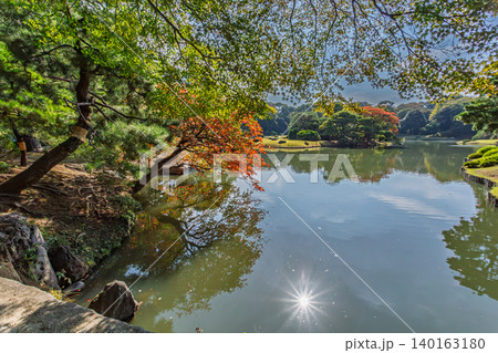 六義園の池の水面に反射する秋の木々と眩しく輝く太陽の光 2023年11月 六義園の池の水面に反射する秋の木々と眩しく輝く太陽の光 2023年11月 140163180