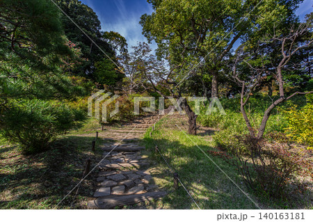 六義園の木々に囲まれた風情ある石畳の階段と散策路 2023年11月 六義園の木々に囲まれた風情ある石畳の階段と散策路 2023年11月 140163181
