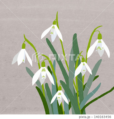 手描きの花のイラスト スノードロップ 手描きの花のイラスト スノードロップ 140163456