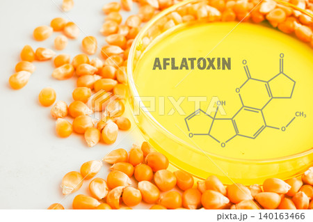 Corn chemical molecular structure of aflatoxin. Corn chemical molecular structure of aflatoxin. 140163466