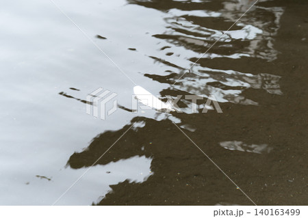 羽根 水面 リフレクション 白い羽根 水辺 ミニマルアート 背景素材 自然 抽象 羽根 水面 リフレクション 白い羽根 水辺 ミニマルアート 背景素材 自然 抽象 140163499