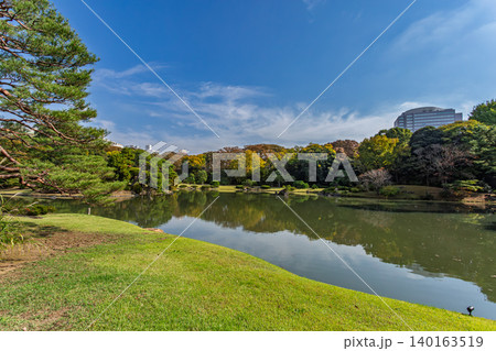 秋の気配が漂う六義園の大泉水と手前に広がる美しい芝生の景観 2023年11月 秋の気配が漂う六義園の大泉水と手前に広がる美しい芝生の景観 2023年11月 140163519