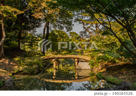 木目に囲まれた六義園の木造橋と水面に完璧に映り込む美しいリフレクション 2023年11月 木目に囲まれた六義園の木造橋と水面に完璧に映り込む美しいリフレクション 2023年11月 140163526