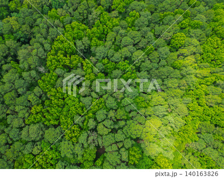 Natural scenery of tropical green forest. Aerial top view forest tree. Rainforest ecosystem and healthy environment. Background of green tree forest. Summer green tree in forest. Rainforest climate Natural scenery of tropical green forest. Aerial top view forest tree. Rainforest ecosystem and healthy environment. Background of green tree forest. Summer green tree in forest. Rainforest climate 140163826