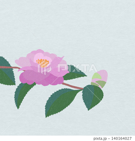 手描きの花のイラスト サザンカ 手描きの花のイラスト サザンカ 140164027