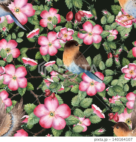 Seamless watercolor pattern with robin birds and blooming rosehip branches on dark background. Hand painted isolated on background Seamless watercolor pattern with robin birds and blooming rosehip branches on dark background. Hand painted isolated on background 140164107