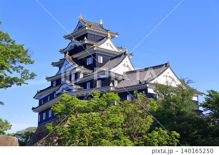 【岡山県】春の岡山城（春の鳥城灯源郷） 140165250