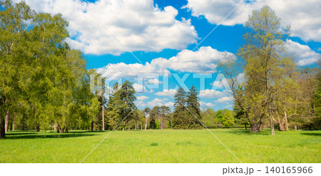 Green park forest panorama with green trees Green park forest panorama with green trees 140165966