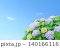 青空と、パステルカラーのあじさい 140166116