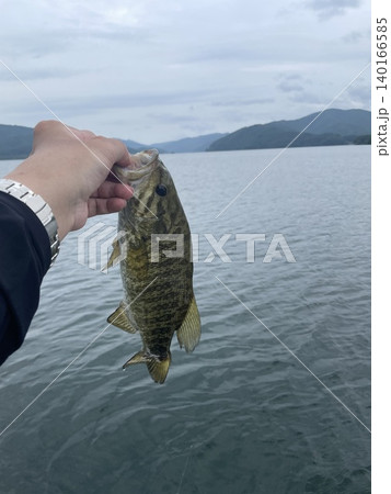 釣り上げたブラックバス 釣り上げたブラックバス 140166585