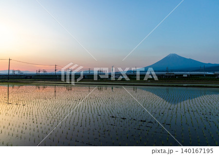 田植えの終わった夕暮れの水田に映る逆さ富士 田植えの終わった夕暮れの水田に映る逆さ富士 140167195