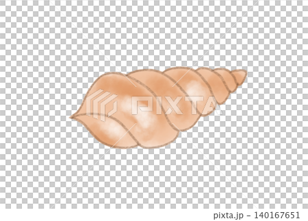 Fairytale seashells Fairytale seashells 140167651