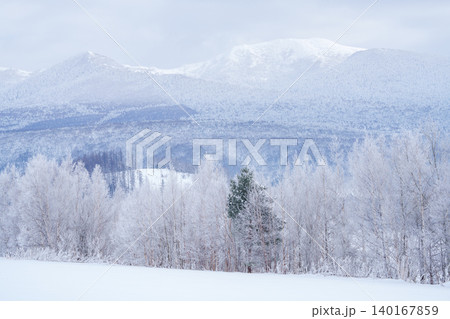 美瑛富良野 極寒の朝に広がる霧氷した森と雪景色 美瑛富良野 極寒の朝に広がる霧氷した森と雪景色 140167859