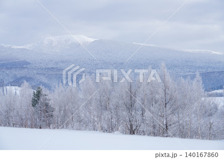 美瑛富良野 極寒の朝に広がる霧氷した森と雪景色 美瑛富良野 極寒の朝に広がる霧氷した森と雪景色 140167860