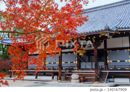 京都　仁和寺　御室御所の秋 140167909