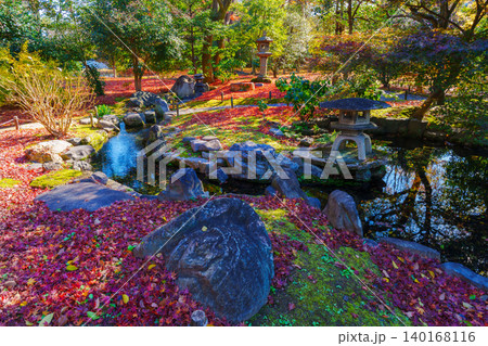 紅葉のある風景 京都御苑 閑院宮邸跡庭園 紅葉のある風景 京都御苑 閑院宮邸跡庭園 140168116