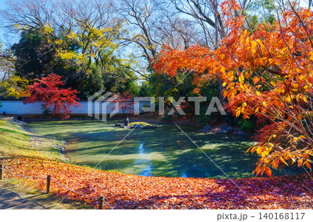 紅葉のある風景 京都御苑 閑院宮邸跡庭園 紅葉のある風景 京都御苑 閑院宮邸跡庭園 140168117
