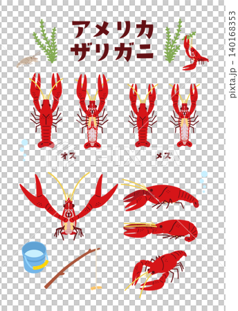 Various illustrations of American crayfish Various illustrations of American crayfish 140168353