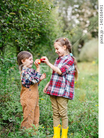 Two happy children holding red apples orchard during autumn harvest enjoying fresh organic fruit Two happy children holding red apples orchard during autumn harvest enjoying fresh organic fruit 140168491