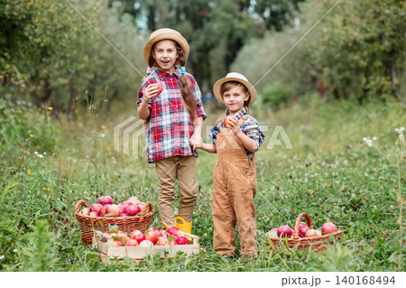 Two children standing with baskets full of red apples in orchard during autumn harvest season Two children standing with baskets full of red apples in orchard during autumn harvest season 140168494