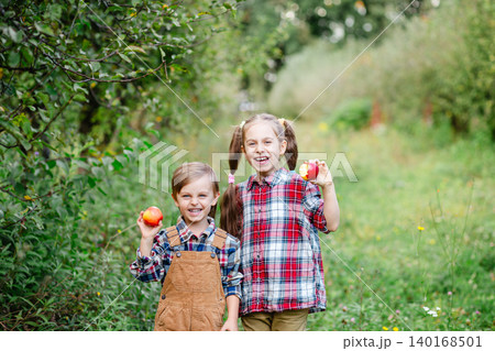 Two cheerful children gathering apples into baskets in green orchard  140168501