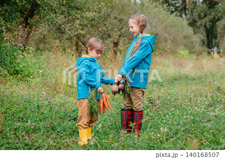 Two children holding hands, carrying fresh carrots beet while walking through orchard autumn harvest 140168507