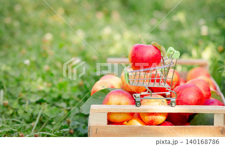 Red apple placed in miniature shopping cart on wooden crate filled with fresh apples in orchard. 140168786