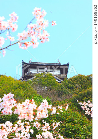 愛知県犬山市、犬山城と桜の風景 140168862