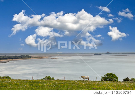 horse in a field with sea and Mont saint Michel horse in a field with sea and Mont saint Michel 140169784