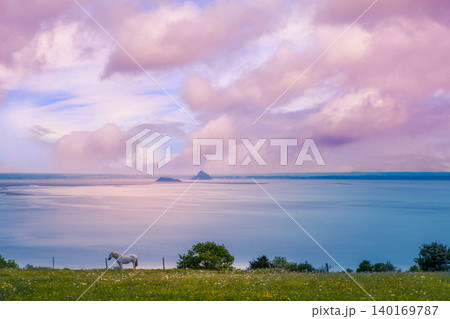 horse in a field with sea and Mont saint Michel 140169787