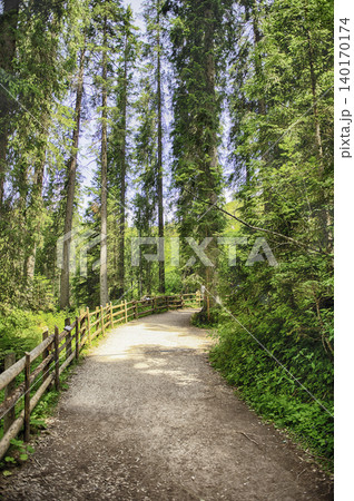 Winding dirt path leading through lush forest, Lake Carezza Italy Winding dirt path leading through lush forest, Lake Carezza Italy 140170174