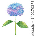 水彩で描いた紫陽花 140170273