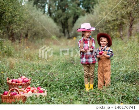 Two smiling children holding fresh red apples orchard baskets grass during sunny autumn harvest 140170741