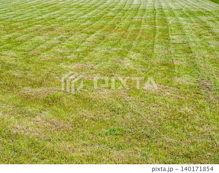 Texture of a professional green lawn mown in parallel stripes. Texture of a professional green lawn mown in parallel stripes. 140171854